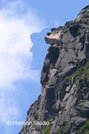 Old Man in the clouds